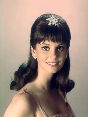 Lesley Ann Warren