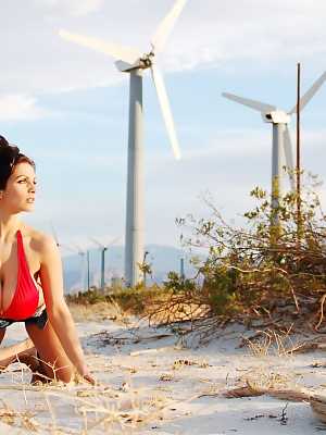 Denise Milani posing at windmills