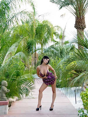 Denise Milani posing under the palm trees