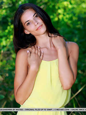 MetArt presents Aleksandrina - Impeccable