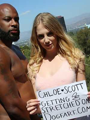 Arousing blonde hottie Chloe Scott peels off her shirt to reveal her tiny tits