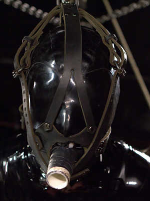 Extreme suspensions, heavy latex, and sadistic torment along with screaming