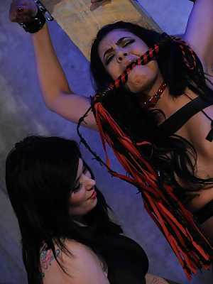 Brunette dykes expand their sexual horizons with BDSM play