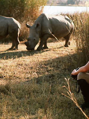 Playboy dolls strip and show off their killer bodies during Safari adventures