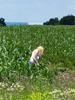 Blonde amateur Jeannine Hansen exposes her boobs and underwear by a cornfield